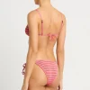 Anisha Brief