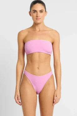 Crista Brief