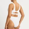 Savannah Brief
