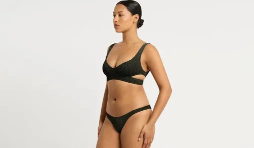 Vista Brief